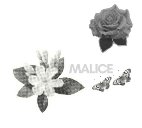 Malice clothing